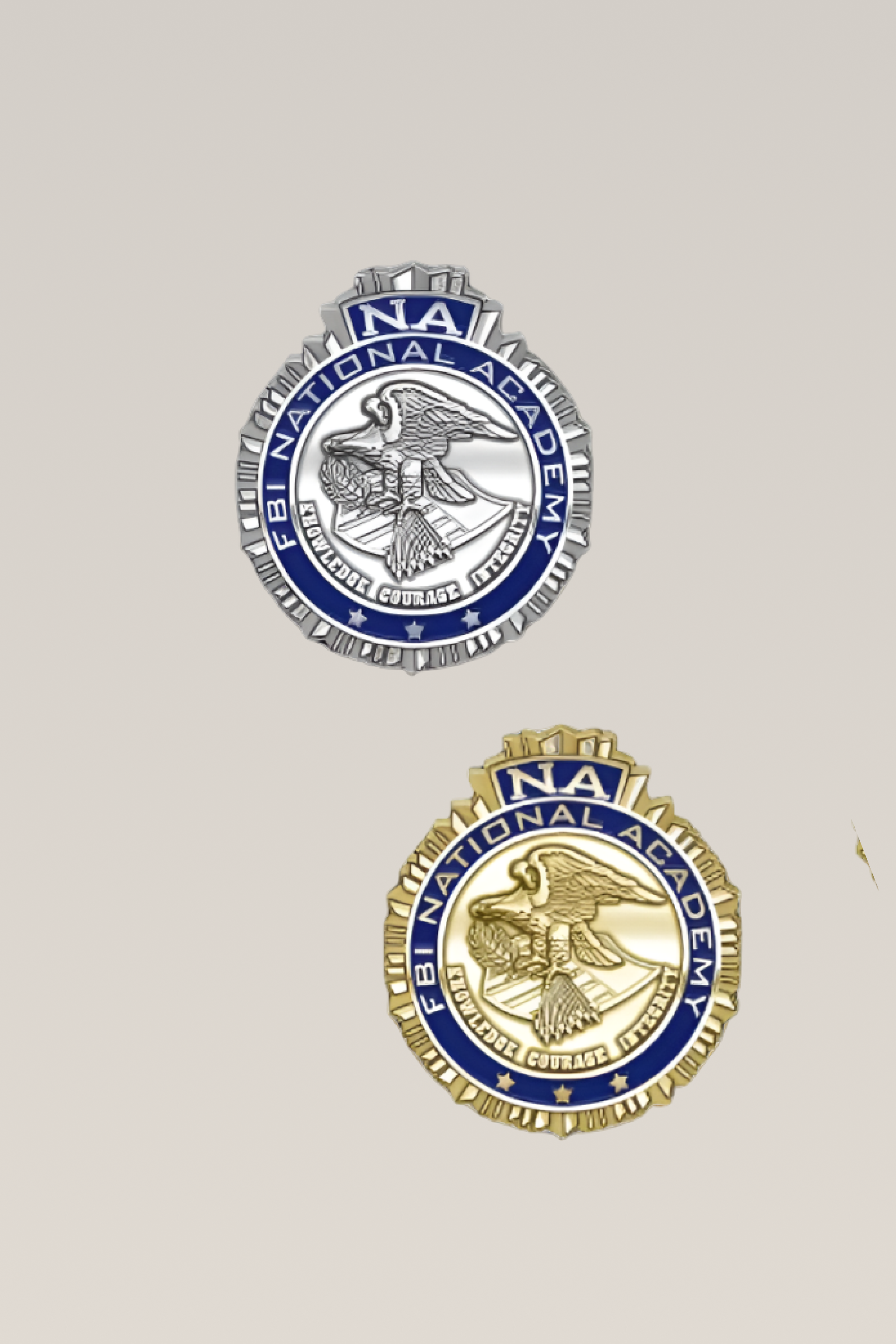 FBI National Academy Lapel Pin